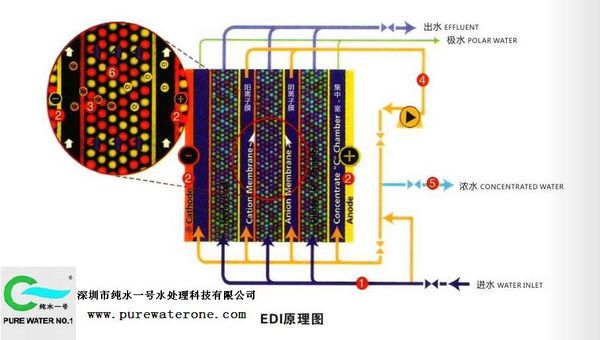 EDI超純水設備的工作原理2